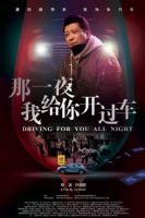 那一夜我给你开过车